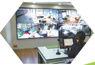 打造食品安全城市典范 东台市政府门户网站专题建设方案