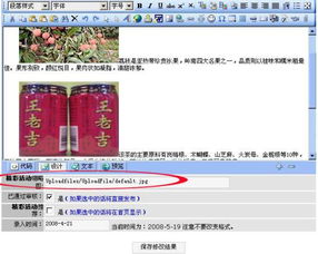 网站建设的专业选择 从国外空间租用到图片显示问题的全面解析